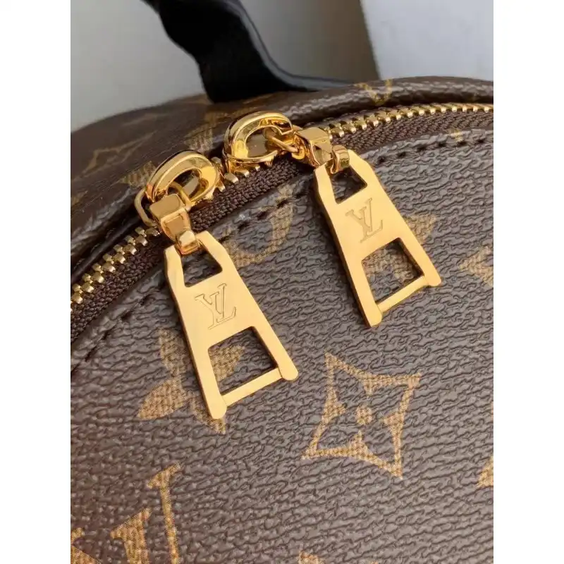 Official FashionRep LV Bags 20B570188