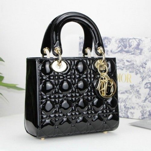 FASH Dio Bags 2012SH0088