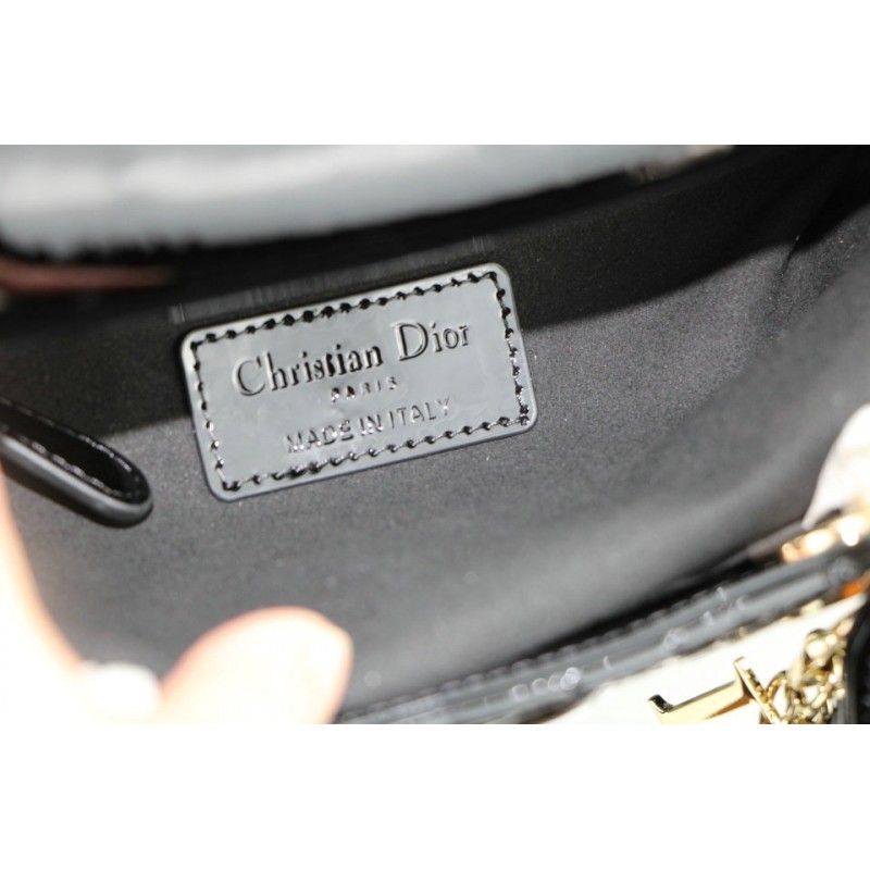 FASH Dio Bags 2012SH0088