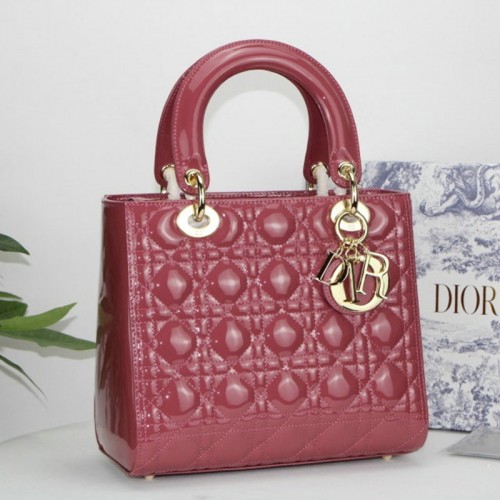 FASH Dio Bags 2012SH0089