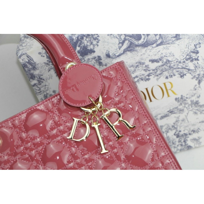 FASH Dio Bags 2012SH0089