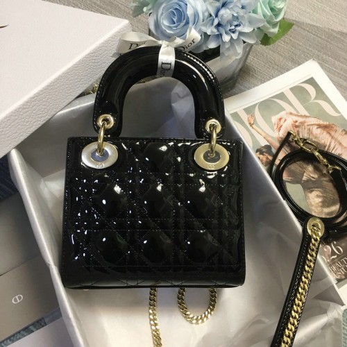 FASH Dio Bags 2012SH0093