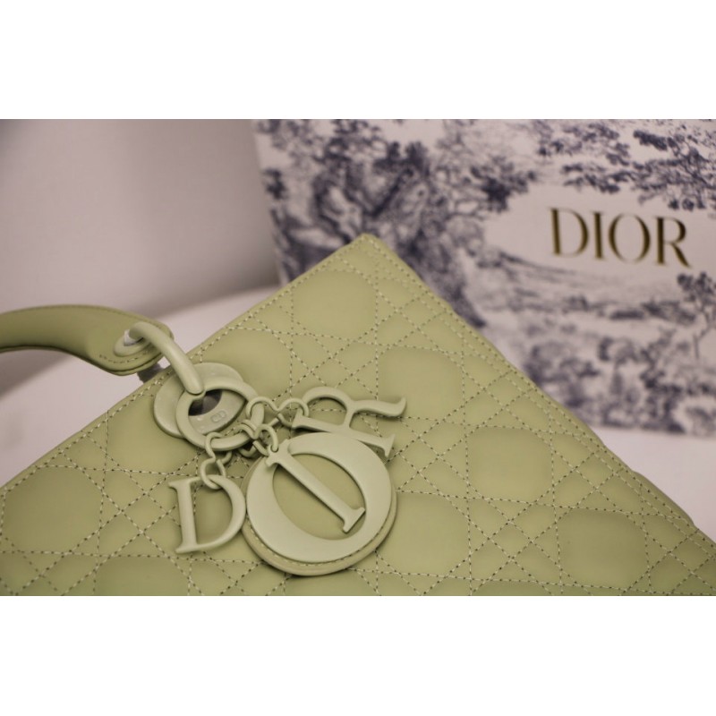 FASH Dio Bags 2012SH0101