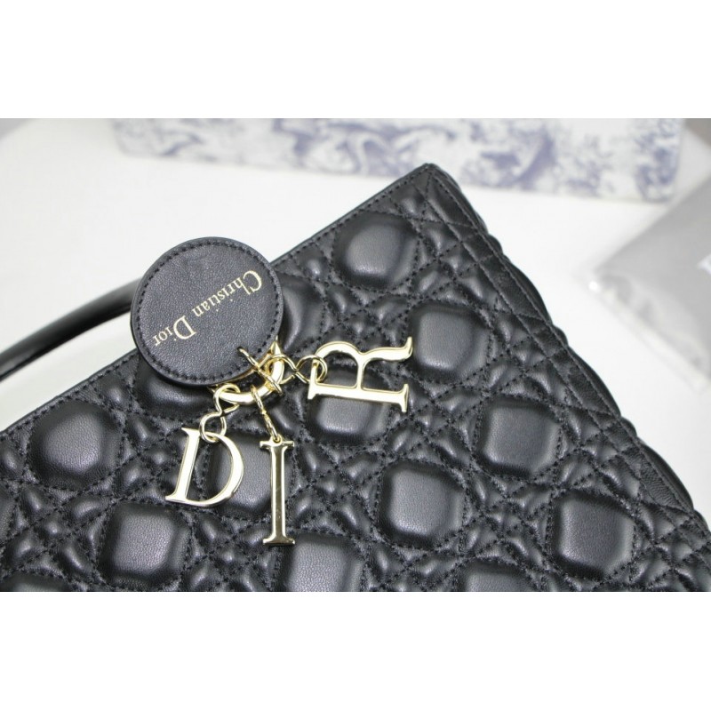 FASH Dio Bags 2012SH0102