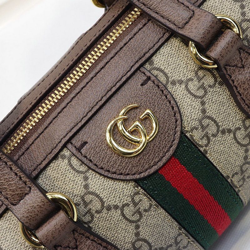 FASH Gucci Bag 20DJ11061