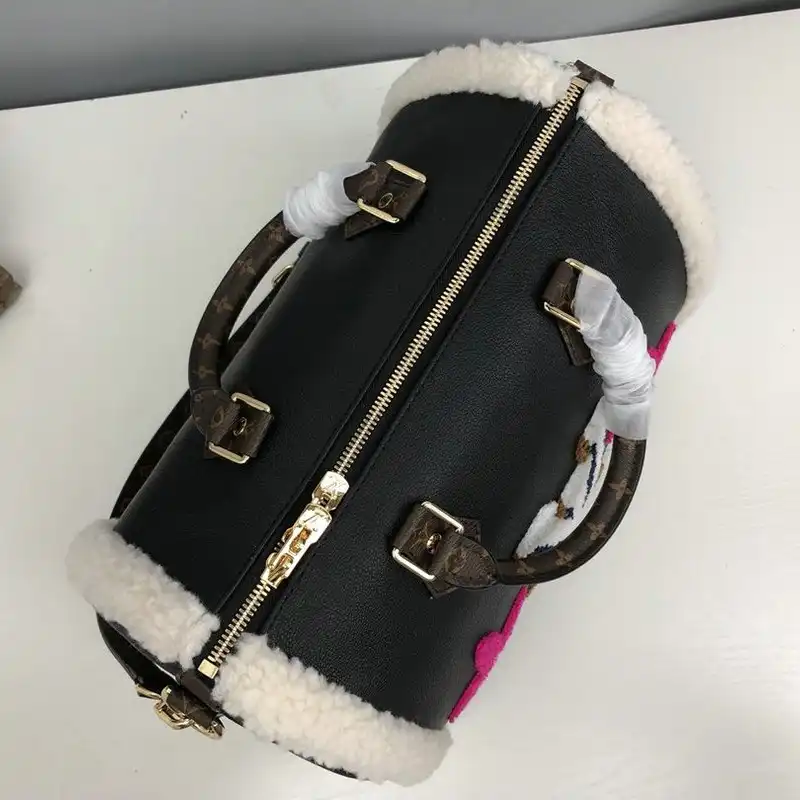 LV Bag 20DJ11070