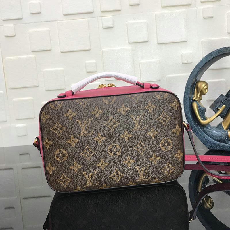 FASH LOUIS VUITTON Bags 19T1L0067