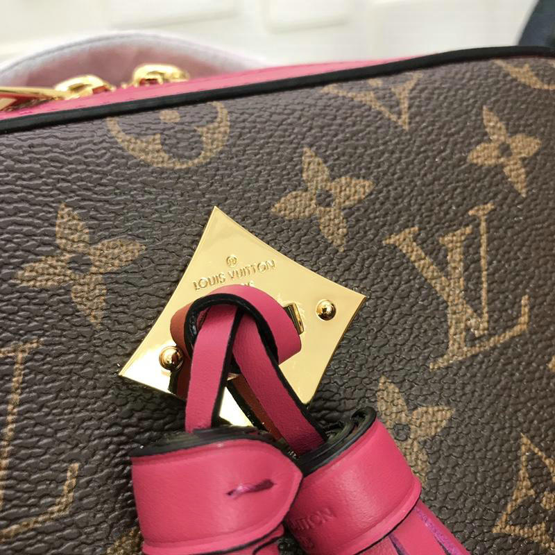 FASH LOUIS VUITTON Bags 19T1L0067