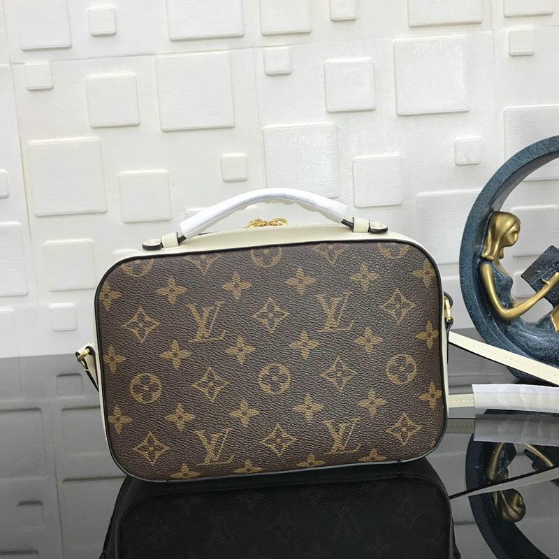 FASH LOUIS VUITTON Bags 19T1L0068