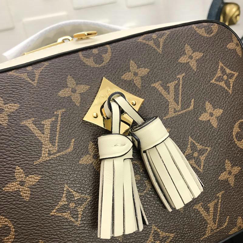 FASH LOUIS VUITTON Bags 19T1L0068