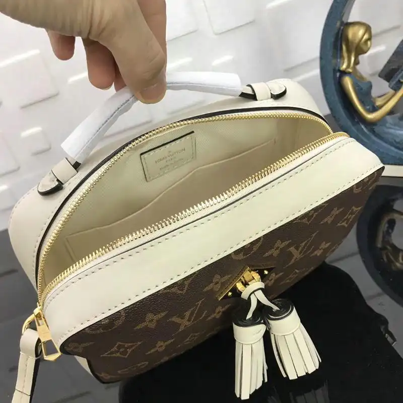 LV Bags 19T1L0068