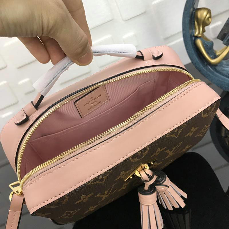 FASH LOUIS VUITTON Bags 19T1L0069