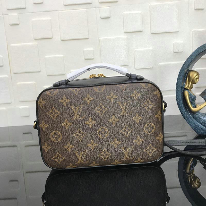 FASH LOUIS VUITTON Bags 19T1L0070