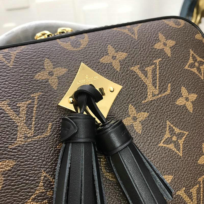 FASH LOUIS VUITTON Bags 19T1L0070