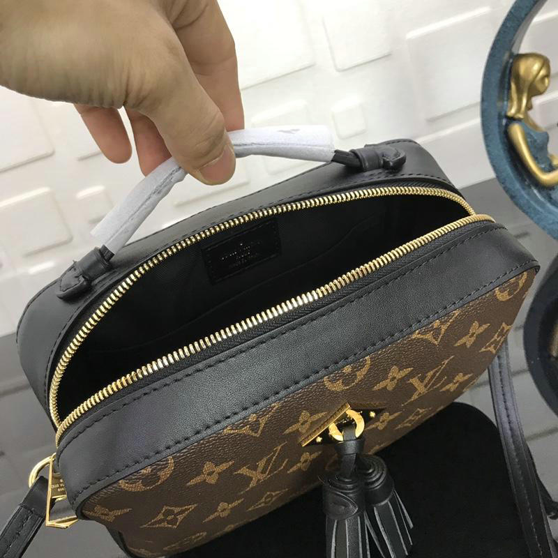 FASH LOUIS VUITTON Bags 19T1L0070