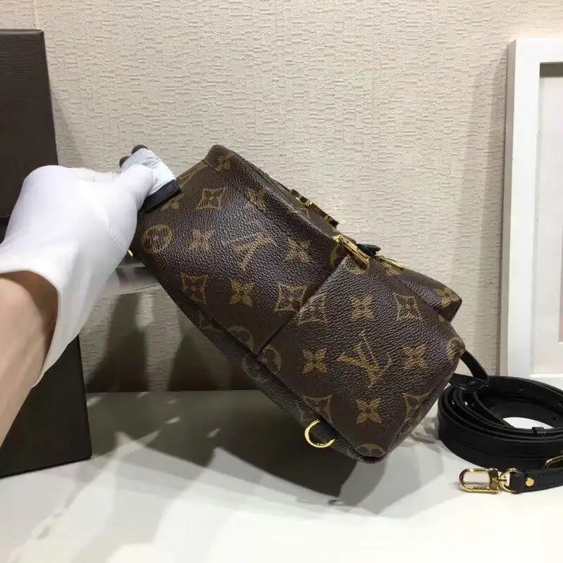 LV Bags 19T1L0085