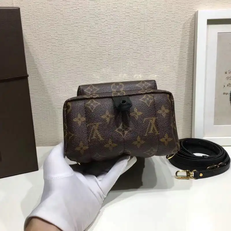 LV Bags 19T1L0085