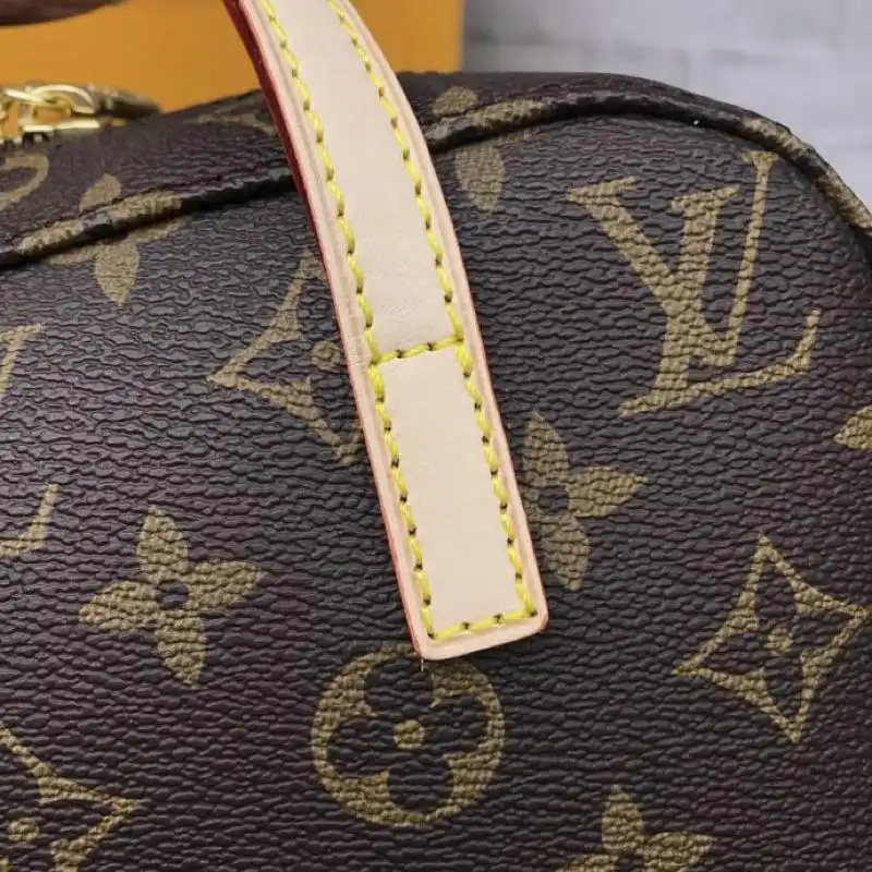 LV Bags 19T1L0086