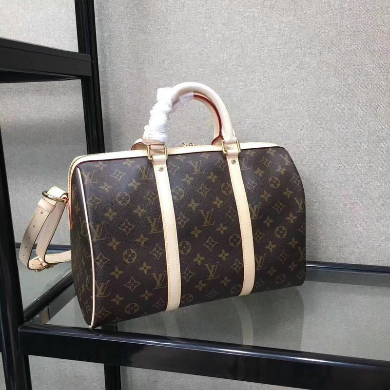 FASH LOUIS VUITTON Bags 19T1L0087