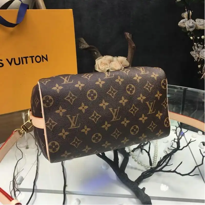 LV Bags 19T1L0123