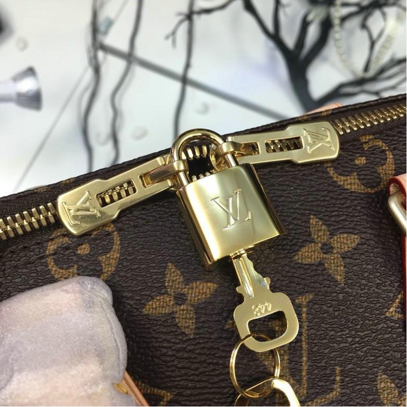 FASH LOUIS VUITTON Bags 19T1L0123