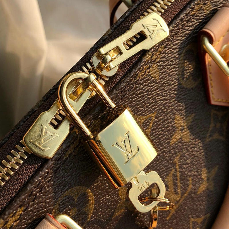 FASH LOUIS VUITTON Bags 19T1L0252