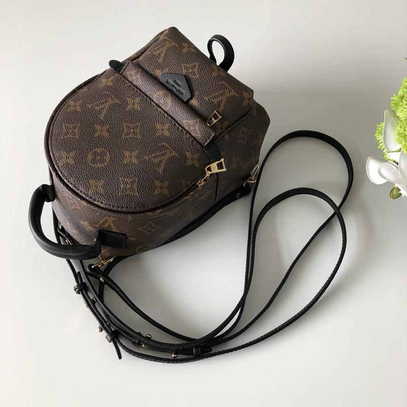 FASH LOUIS VUITTON Bags 19T1L0424