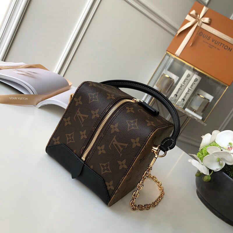 LV Bags 19T1L0541