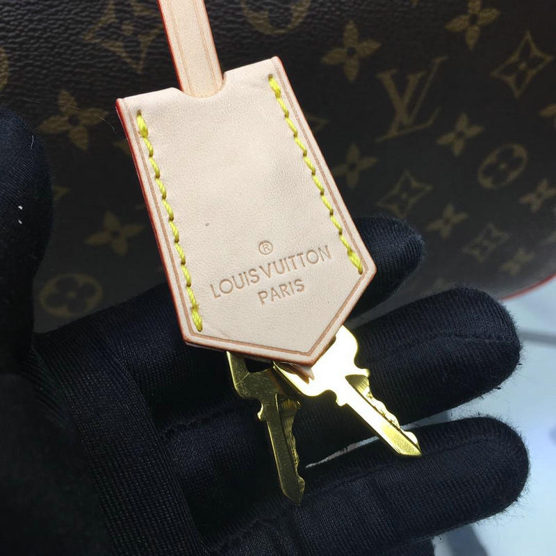 FASH LOUIS VUITTON Bags 19T1L0606