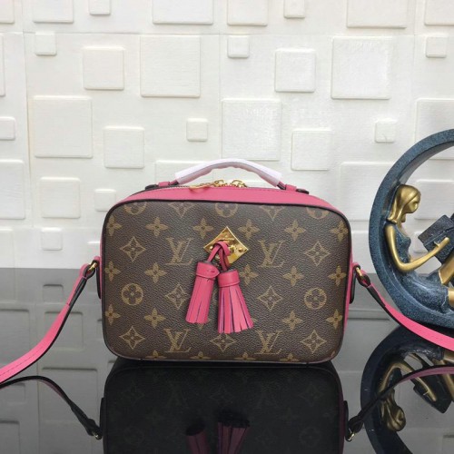 FASH LOUIS VUITTON Bags 19T1L0067