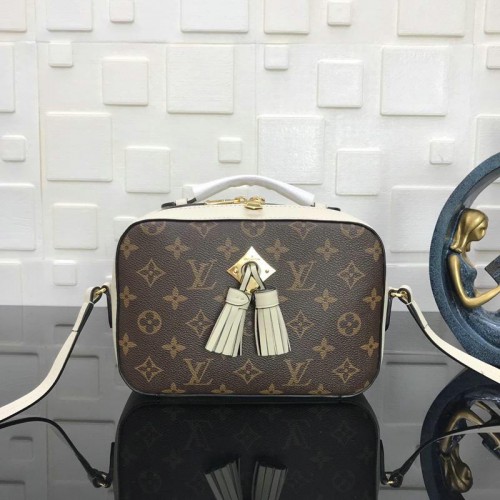 FASH LOUIS VUITTON Bags 19T1L0068