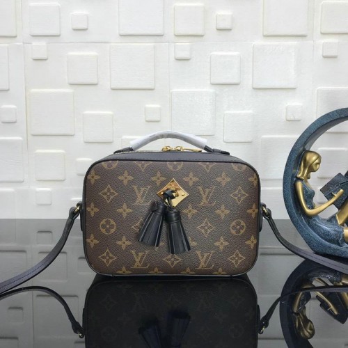 FASH LOUIS VUITTON Bags 19T1L0070