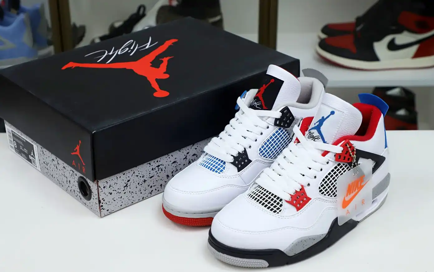 Jordan Air Jordan4 retro se what the4