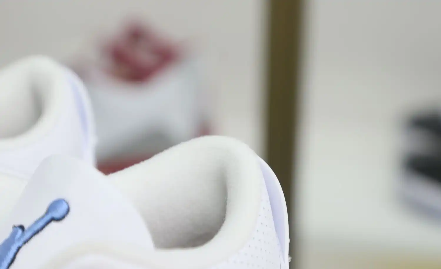 Jordan Air Jordan 3 retro
