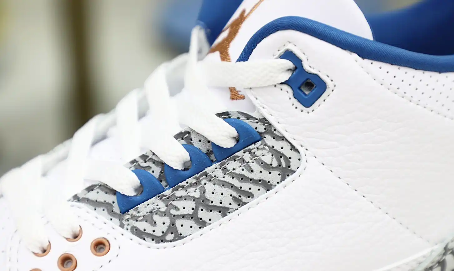 Jordan Air Jordan 3 retro