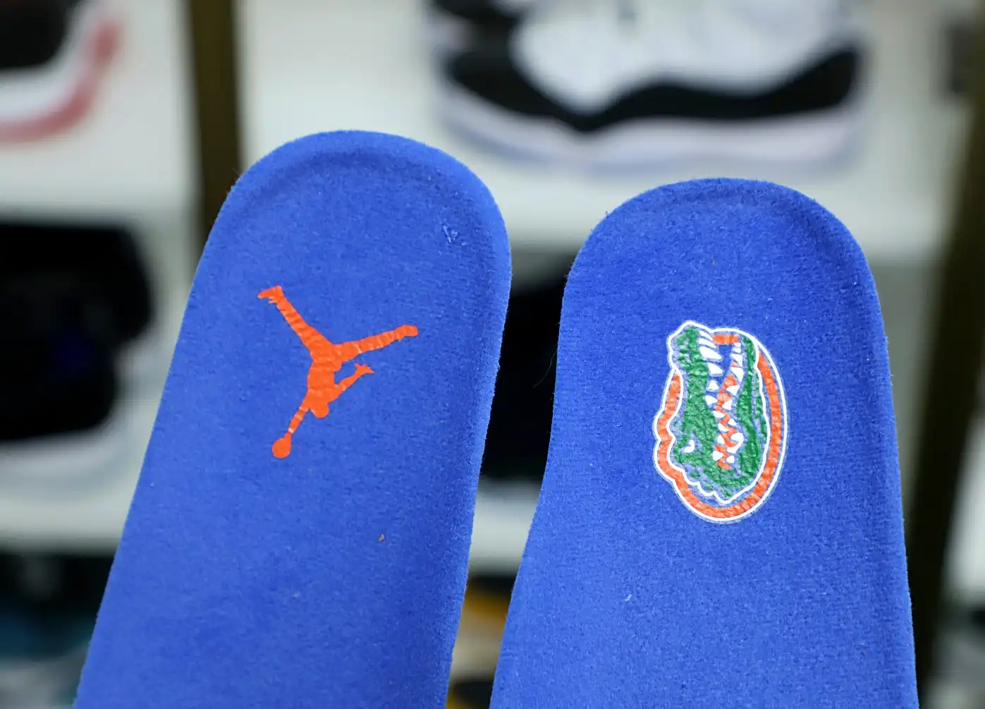 Jordan Air Jordan 4