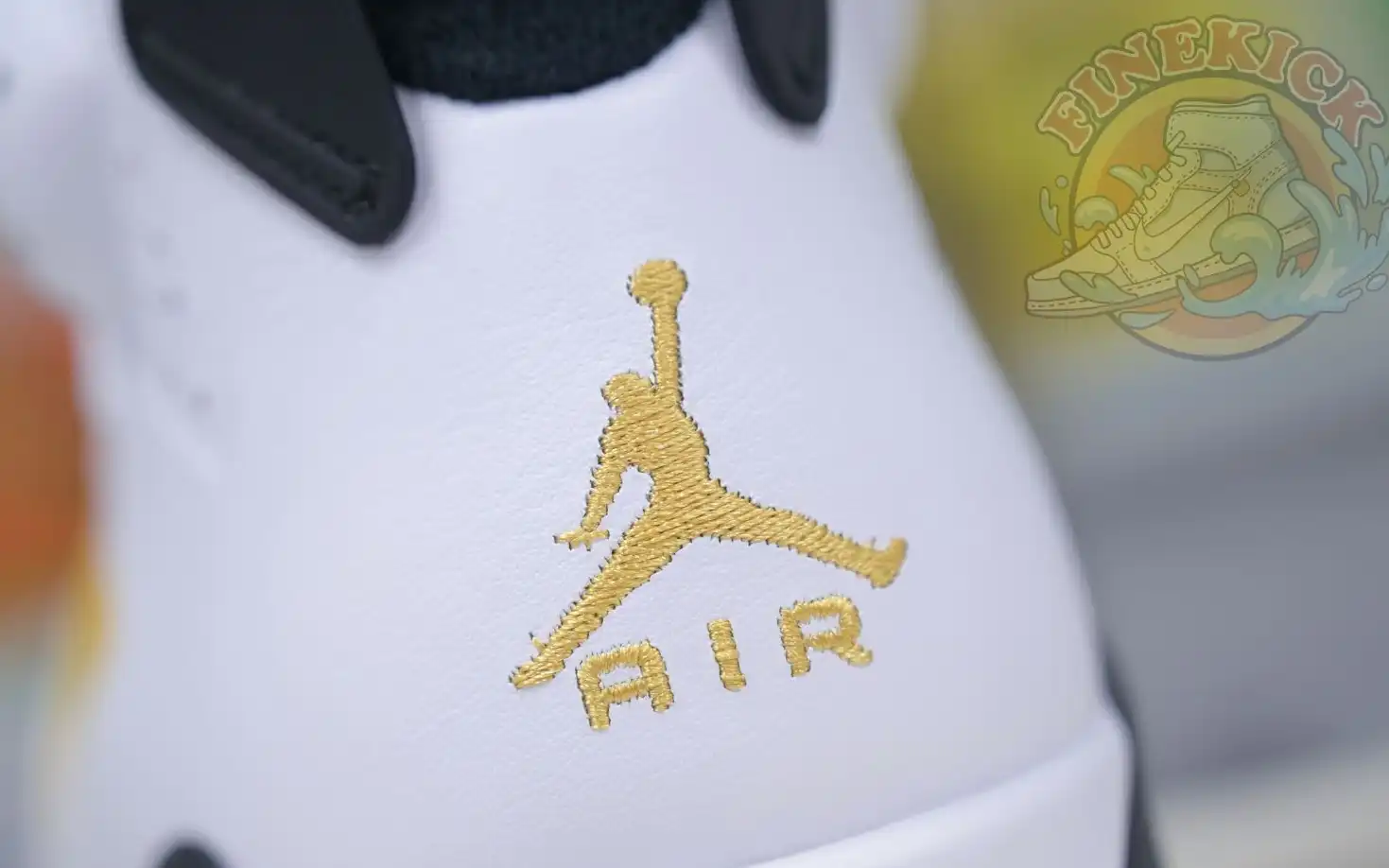 Air Jordan 6 