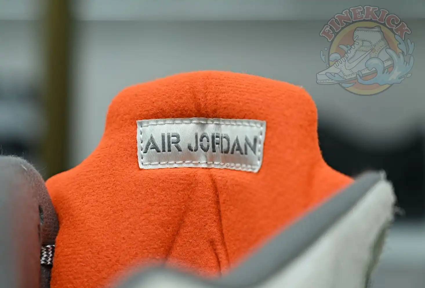 Jordan Air Jordan5 SE