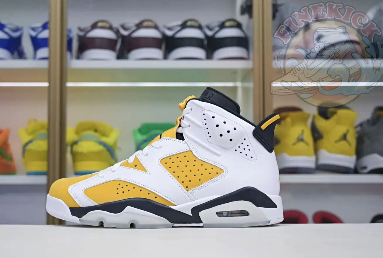 Air Jordan 6 