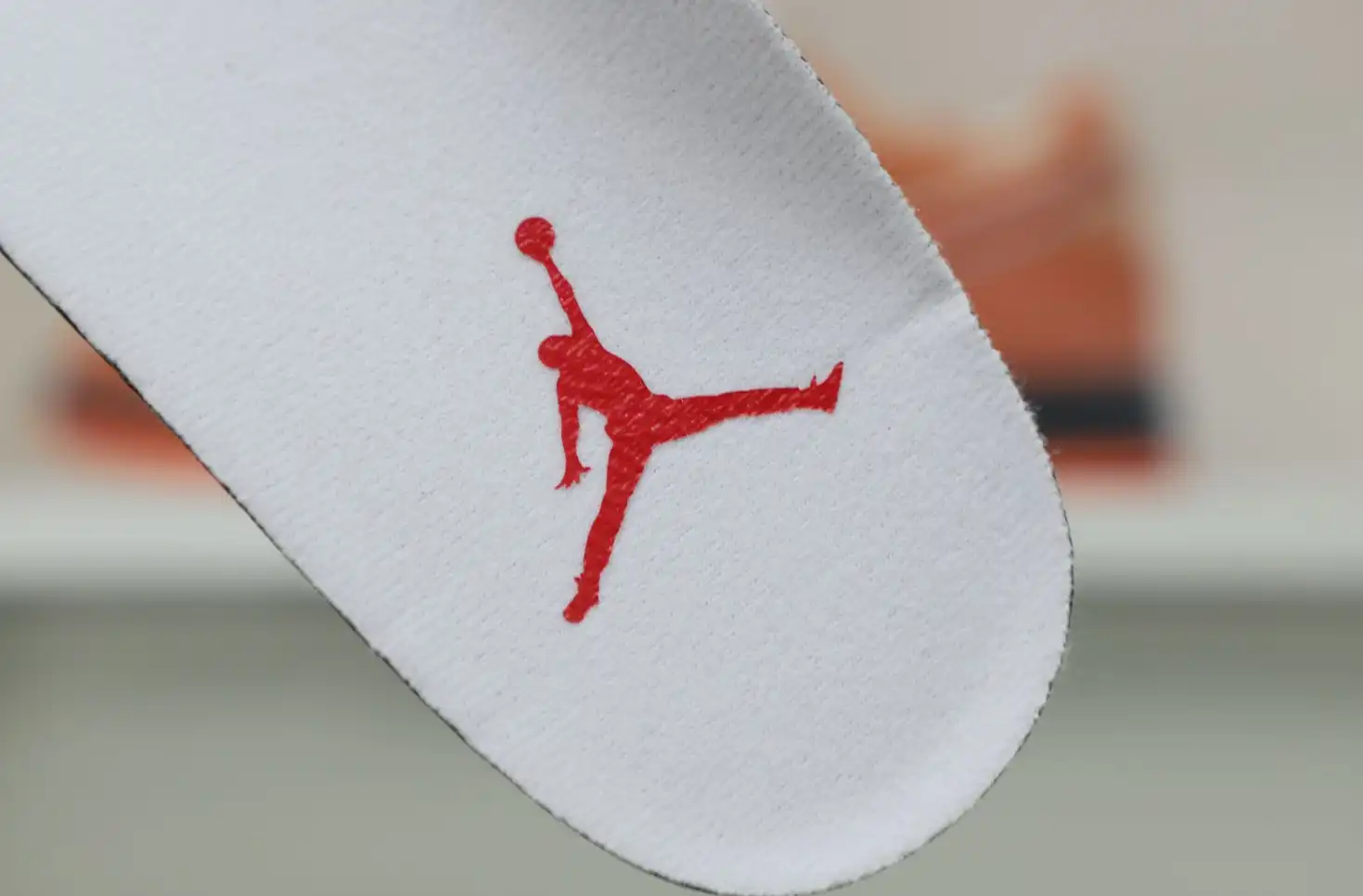 Jordan Air Jordan 13