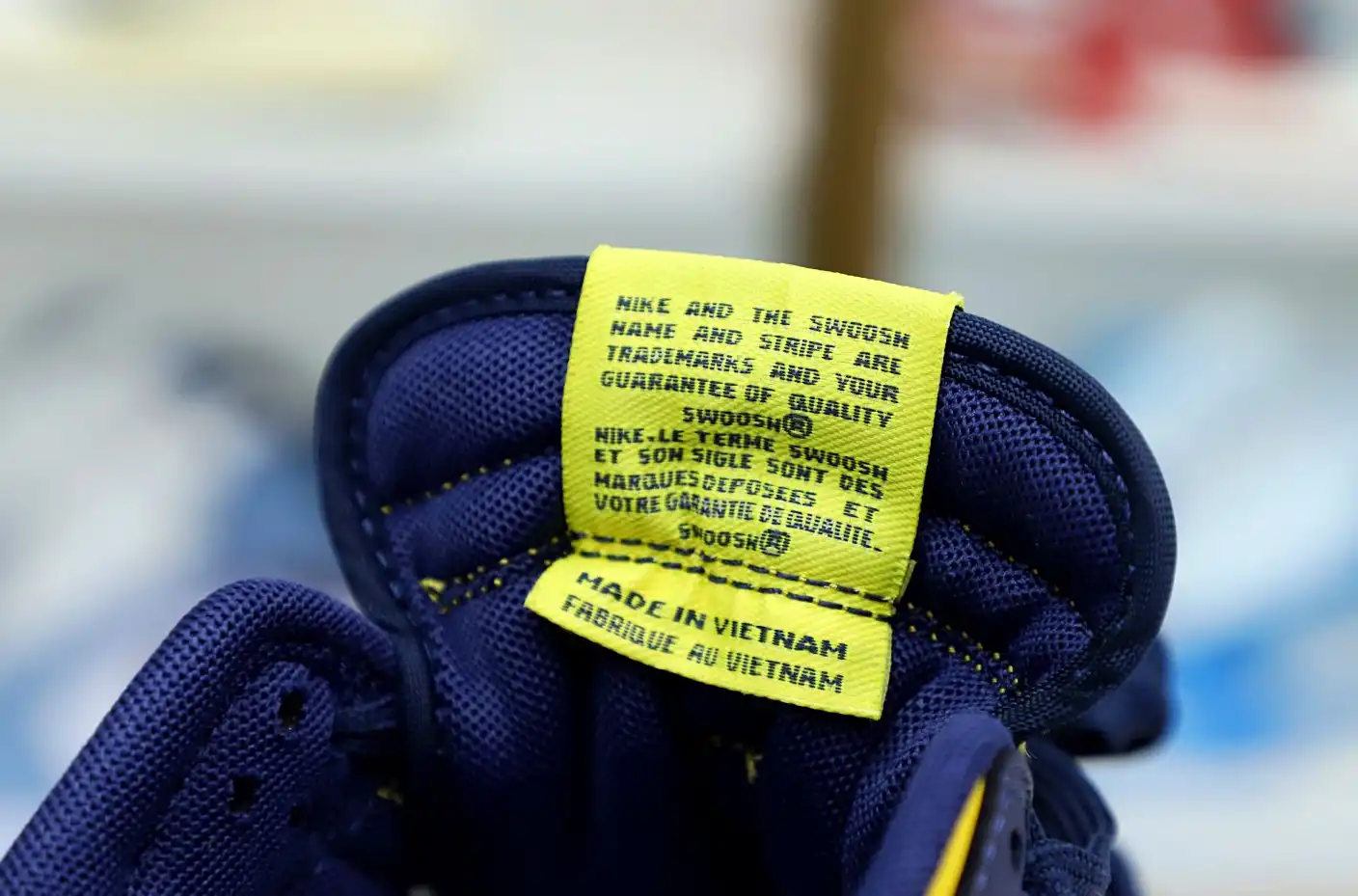 hype DUNK LOW 'MICHIGAN' 2021