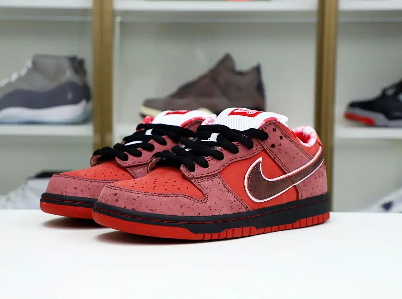 hype Concepts x Nike Dunk SB Low Red Lobster