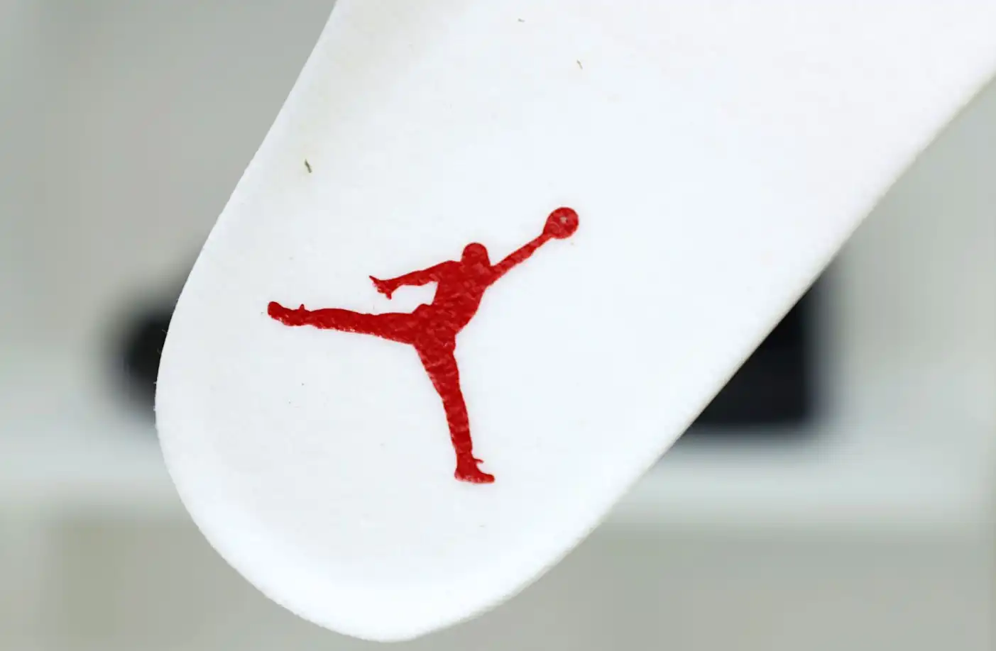 AIR JORDAN 6 RED OREO