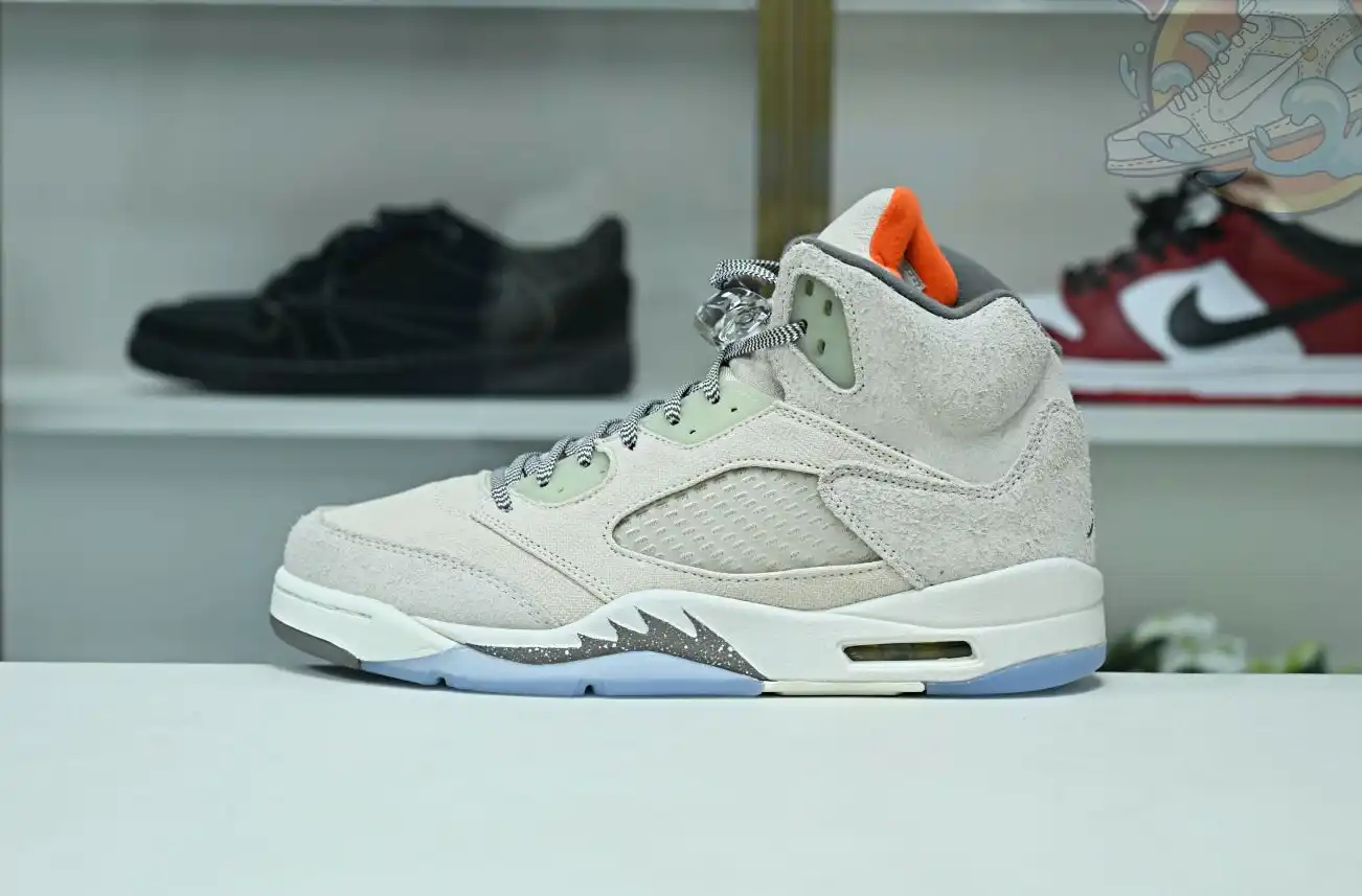 Jordan Air Jordan5 SE