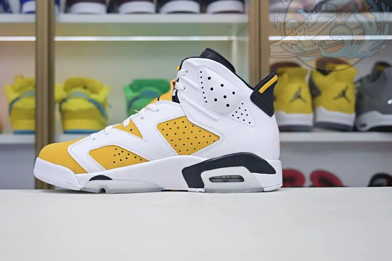 Air Jordan 6 