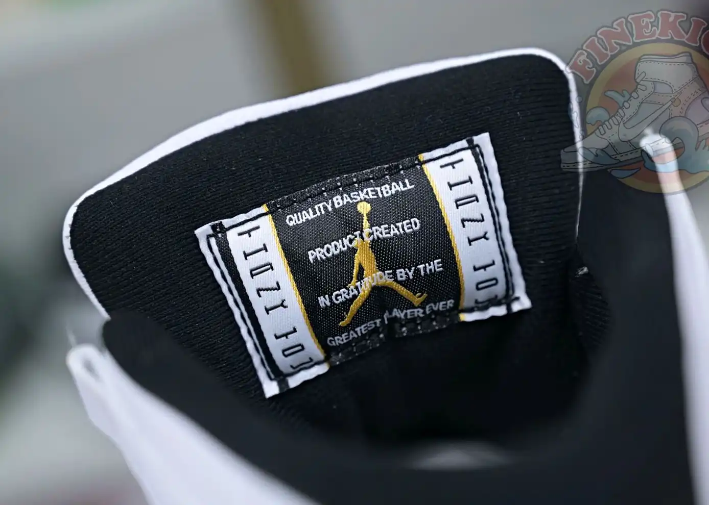 Jordan Air Jordan 11 