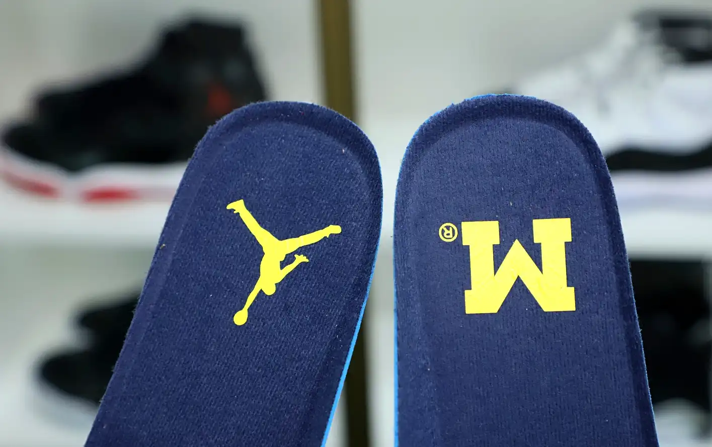 Jordan Air Jordan 4