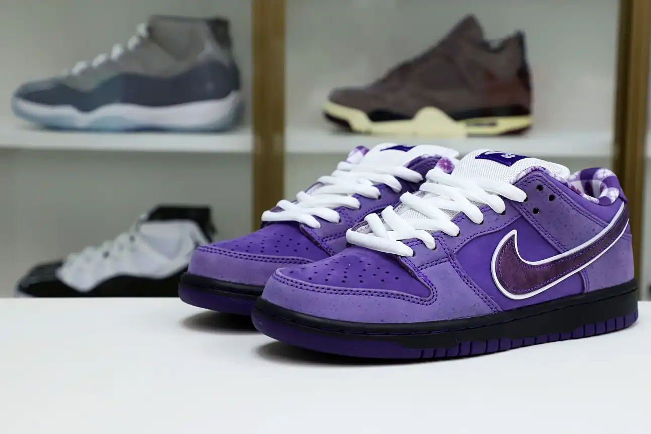 hype Concepts x Nike SB Dunk Low Pro OG QS