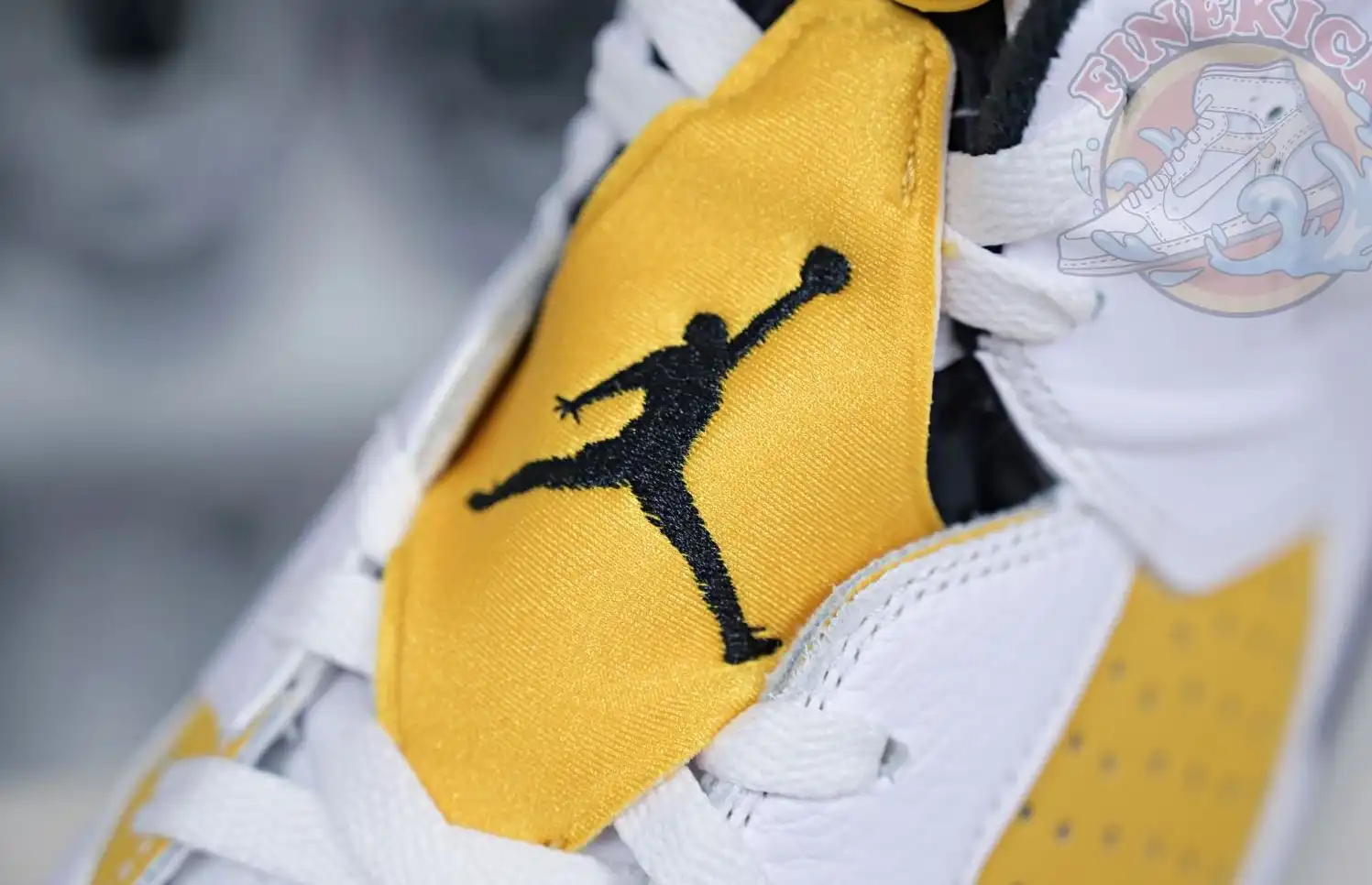 Air Jordan 6 