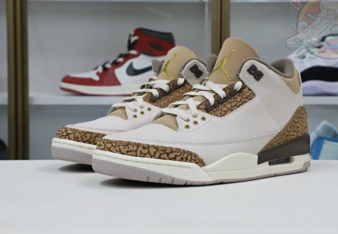 Jordan Air Jordan3